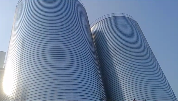 颍泉2座混凝土高架卷板仓